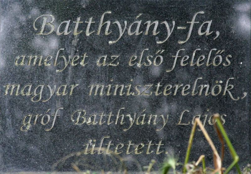 Fájl:Kondoros batthyany fa emlektabla.jpg