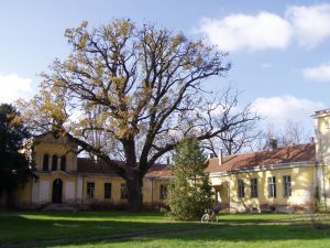 Wenckheim-kastély (Gerla)