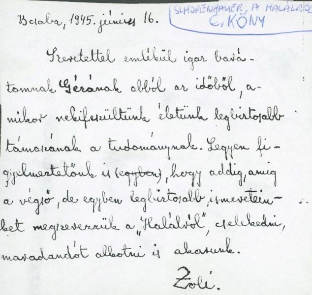 Fájl:Berekmeri zoltan 01.jpg