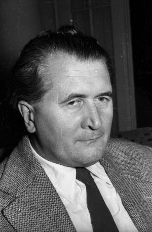 Cseres tibor 01.jpg