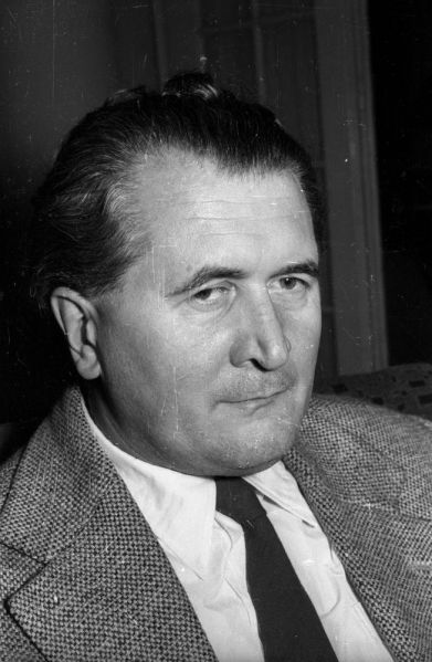 Fájl:Cseres tibor 01.jpg
