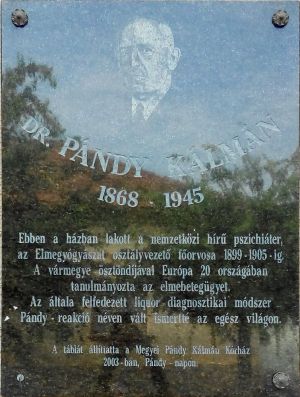 Gyula munkacsy utca pandy kalman emlektabla.jpg