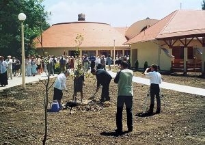 Faültetés 2003-ban az Csabai Életfa Nyugdíjasház bővítése alkalmából