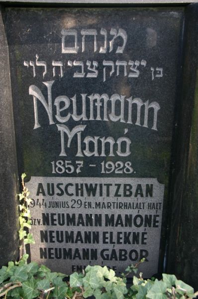 Fájl:Neumann gabor 04.jpg