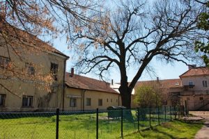 Doboz wenckheim kastely 03.jpg