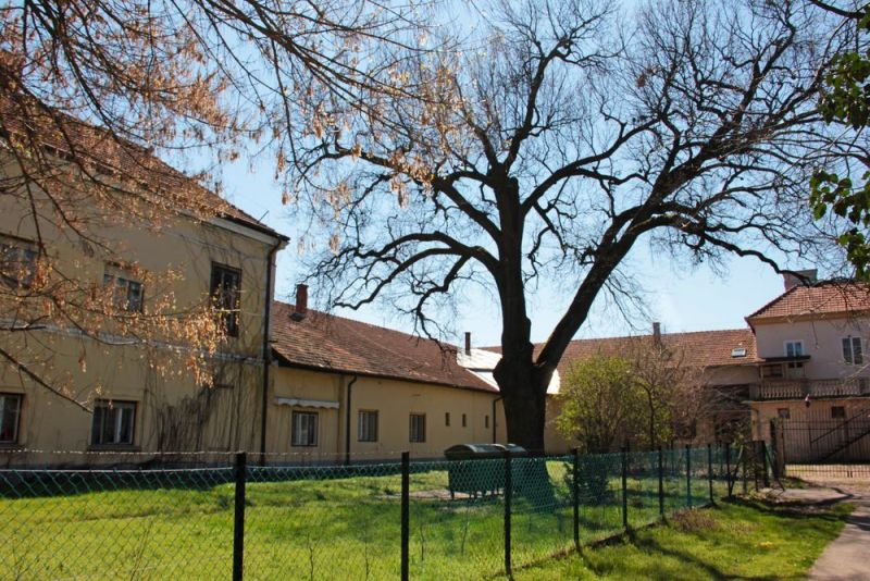 Fájl:Doboz wenckheim kastely 03.jpg