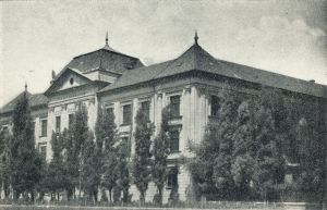 Bekescsaba evangelikus gimnazium 02.jpg
