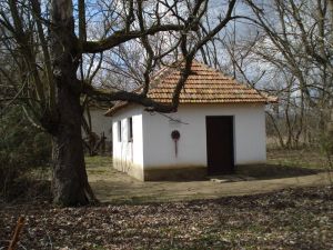 Arany János Emlékház