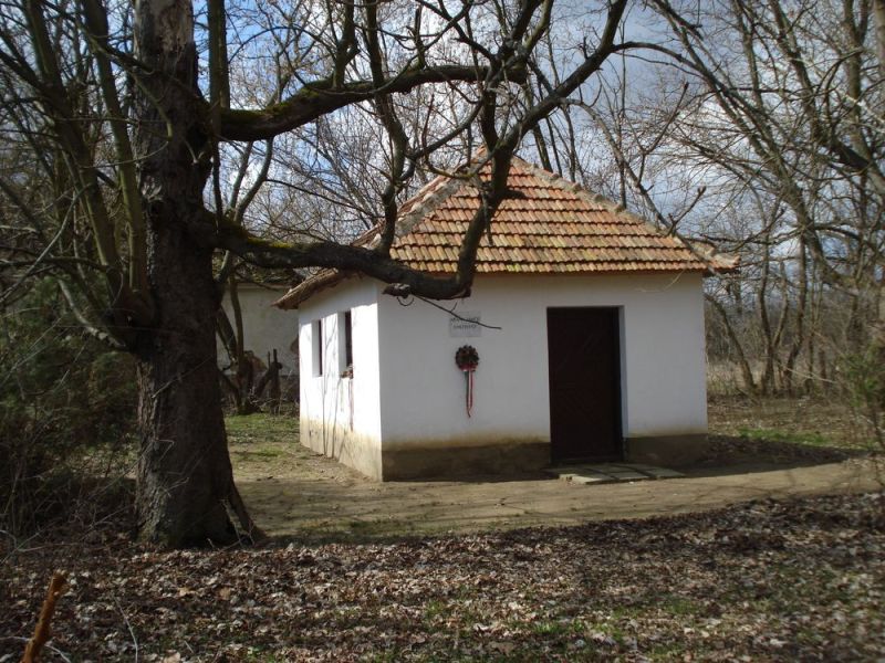 Fájl:Geszt arany janos emlekhaz.jpg