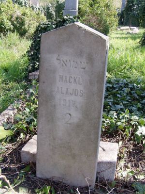 Bekescsaba izraelita temeto 03.jpg