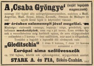 A Csabagyöngye szőlő hirdetése