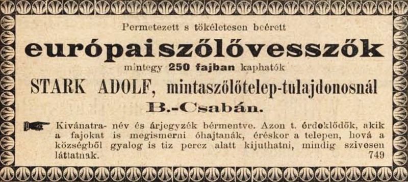 Fájl:Stark adolf 04.jpg