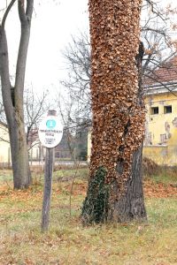 A park 1989 óta természetvédelmi terület (2011)
