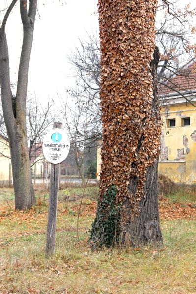 Fájl:Gerla wenckheim kastelypark 01.jpg