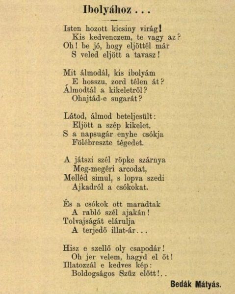 Fájl:Bedak matyas 02.jpg