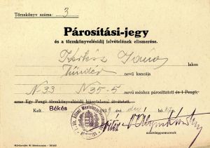 Párosítási-jegy