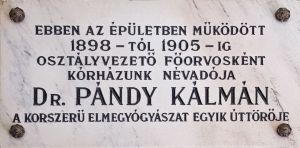 Gyula korhaz pandy kalman emlektabla.jpg