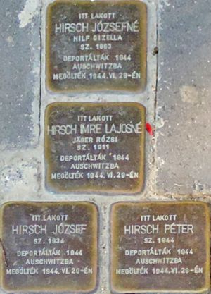 Bekescsaba hirsch csalad botlokovek.jpg