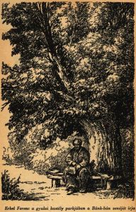 A Békésmegyei naptár (1948) illusztrációja