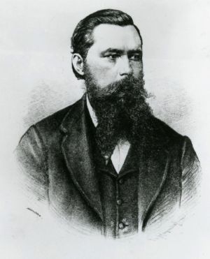 Haan antal 01.jpg