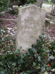 Donner Szender (1916) síremléke (10)