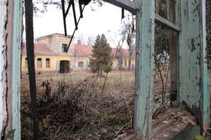 Kilátás a kastélyra a pálmaház ablakából (2011)
