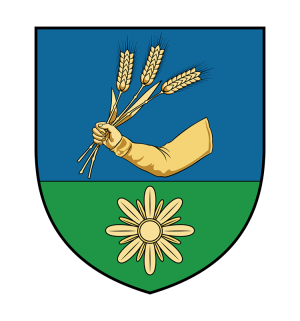 Csorvas cimer 01.png