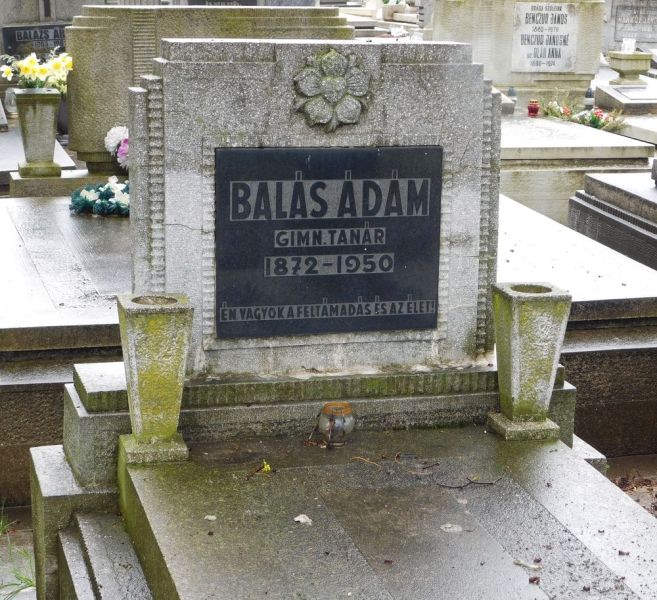 Fájl:Balas adam 02.jpg