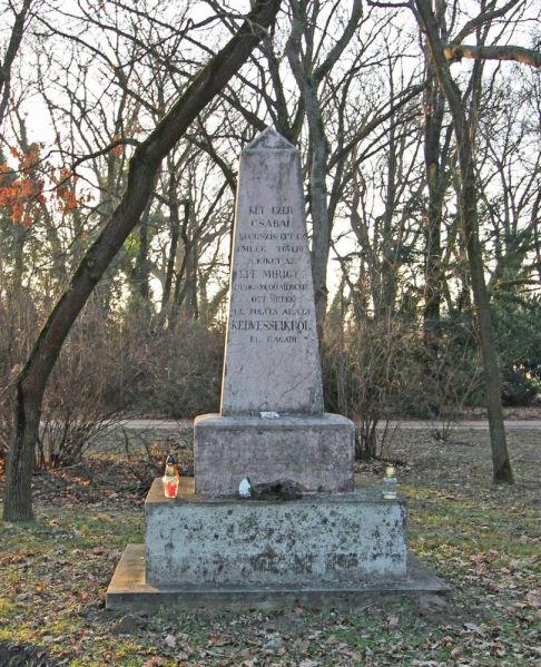 Fájl:1831 kolerajarvany 01.jpg