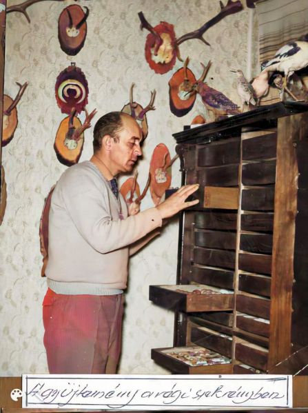 Fájl:Povazsay laszlo 05.jpg