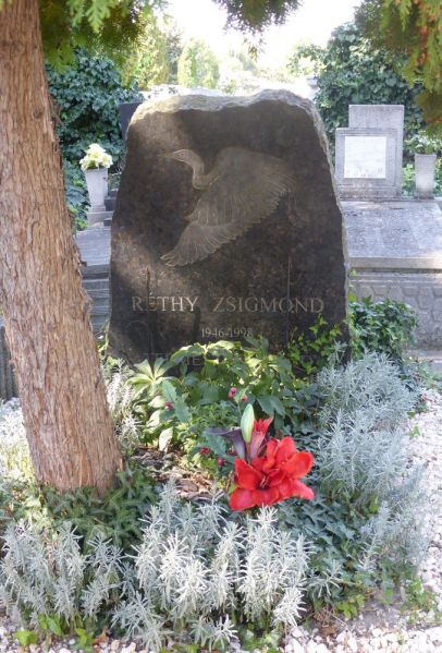 Fájl:Rethy zsigmond 03.jpg
