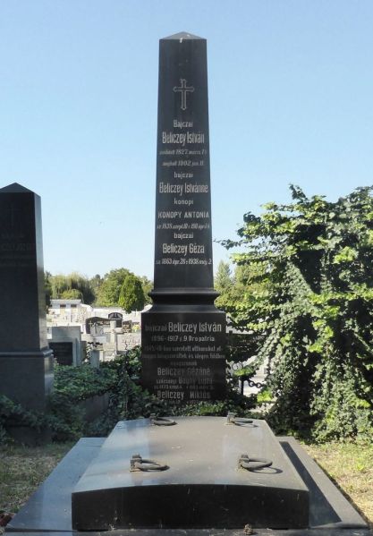 Fájl:Bekescsaba beliczey csalad siremlek.jpg