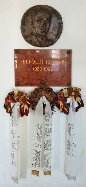 Ujkigyos felfoldi istvan emlektabla.jpg