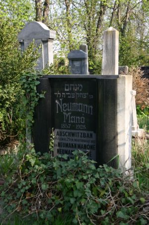 Neumann gabor 06.jpg