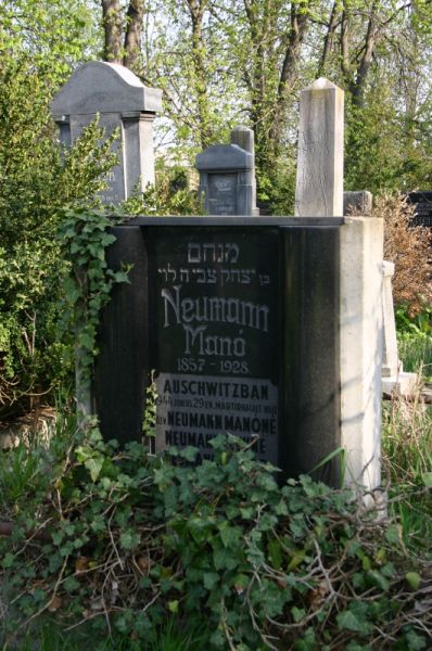 Fájl:Neumann gabor 06.jpg