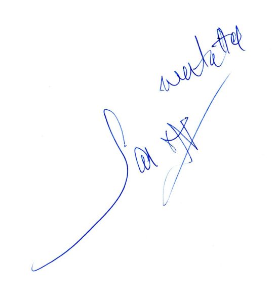 Fájl:Sas jozsef 02.jpg