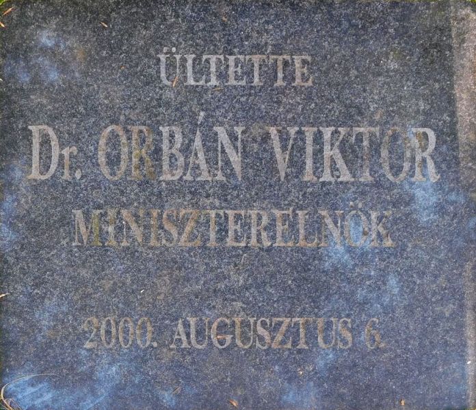 Fájl:Elek millenniumi emlekfa 02.jpg