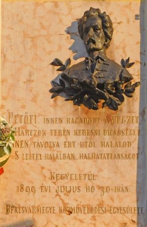 Mezobereny petofi sandor emlektabla.jpg