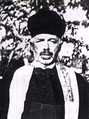 Wulcz gyula 01.jpg