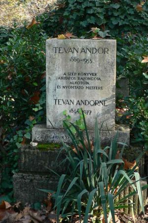 Tevan andor 02.jpg