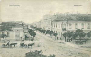 Bekescsaba andrassy ut 04.jpg